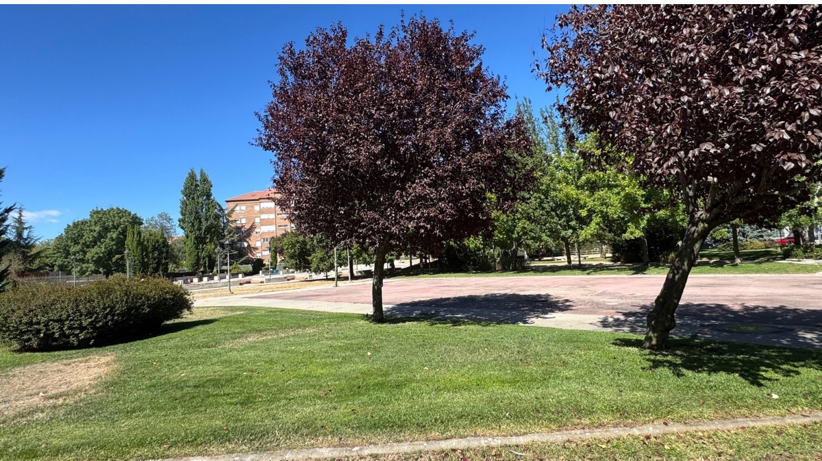 Jard&iacute;n Camino del Cerezo