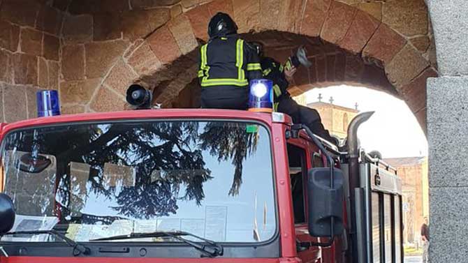 Intervención en el arco de San Vicente de la muralla.