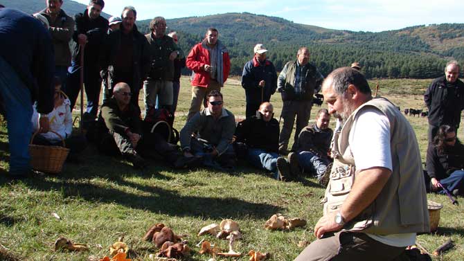 Curso 'Conoce los hongos de &Aacute;vila'.