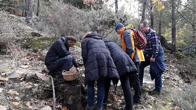 Imagen de archivo de micólogos en el monte.