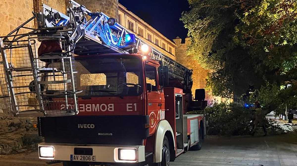 Trabajos ante la caída del negrillo del Rastro el domingo por la noche.