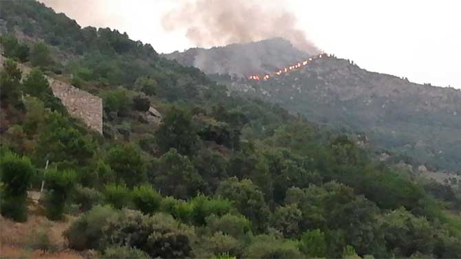 Incendio en Pedro Bernardo en 2019.