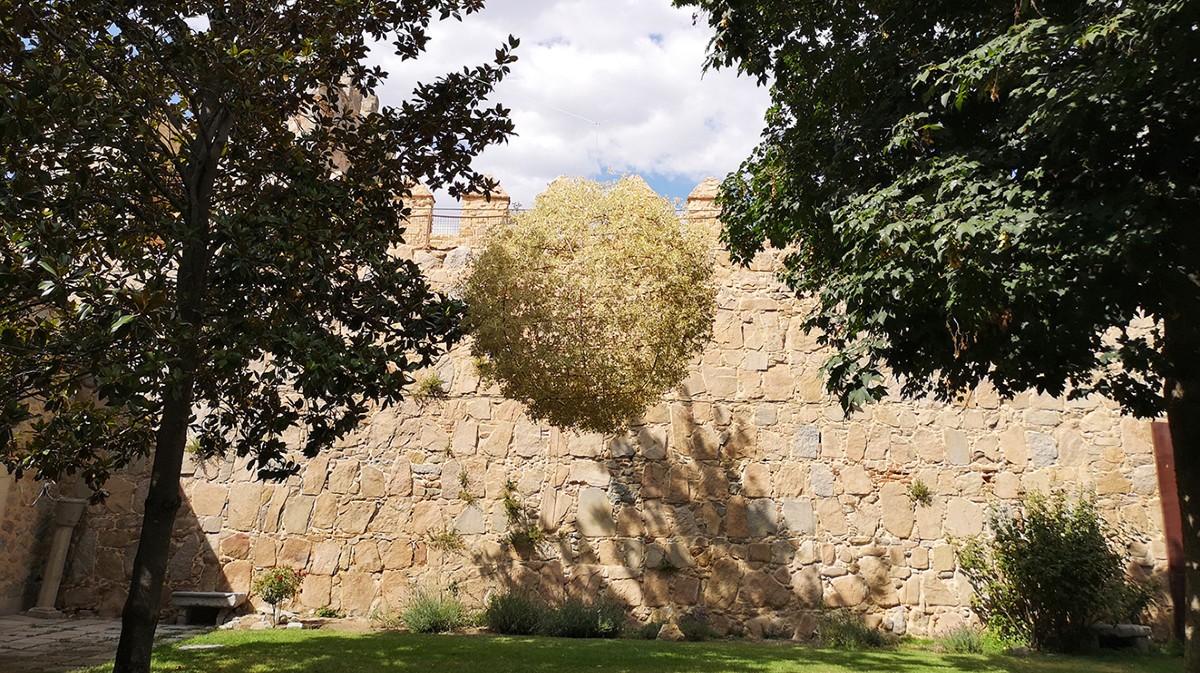 'El sol con autoprotección', de Carlos de Gredos.