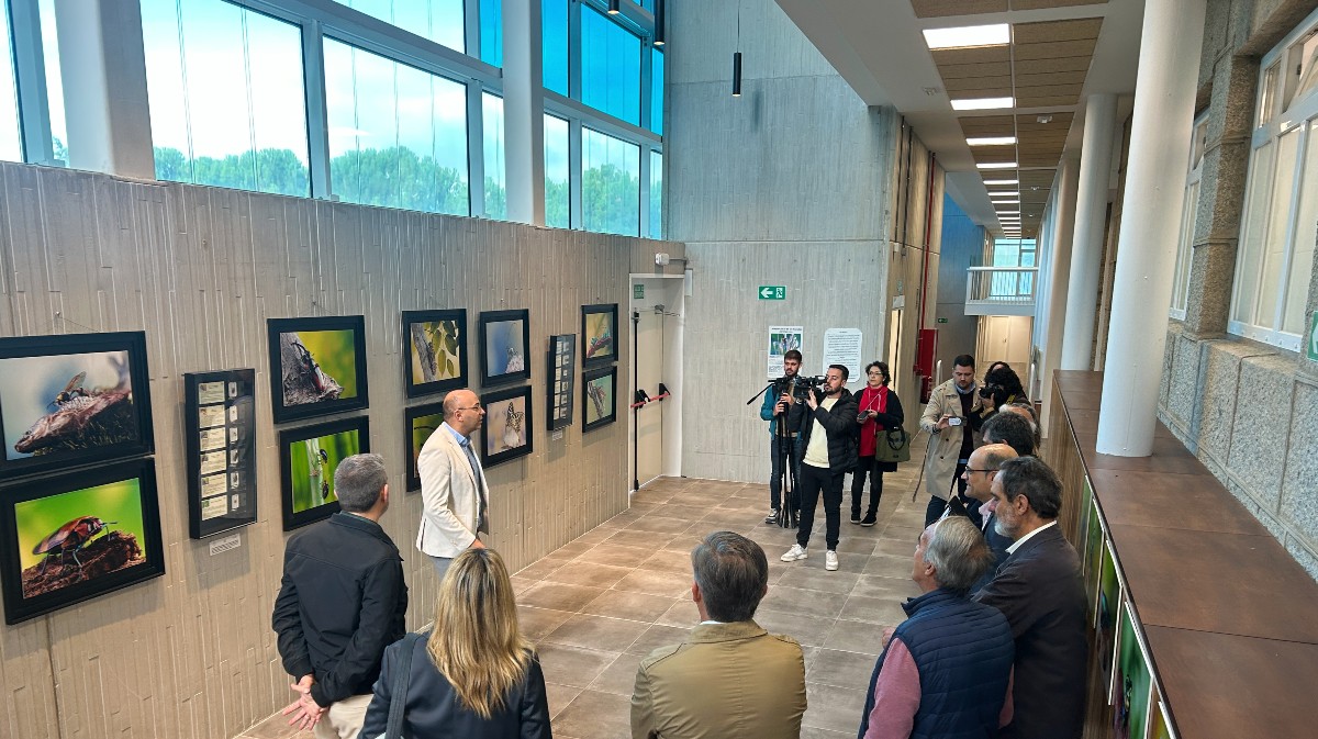 Muro-cortina fotovoltaico en la UCAV.