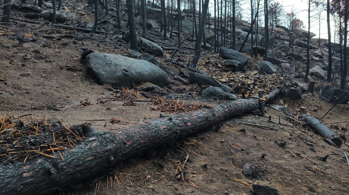 Fajinas y albarradas para reducir la velocidad del agua y retener la tierra en el Valle de Iruelas.