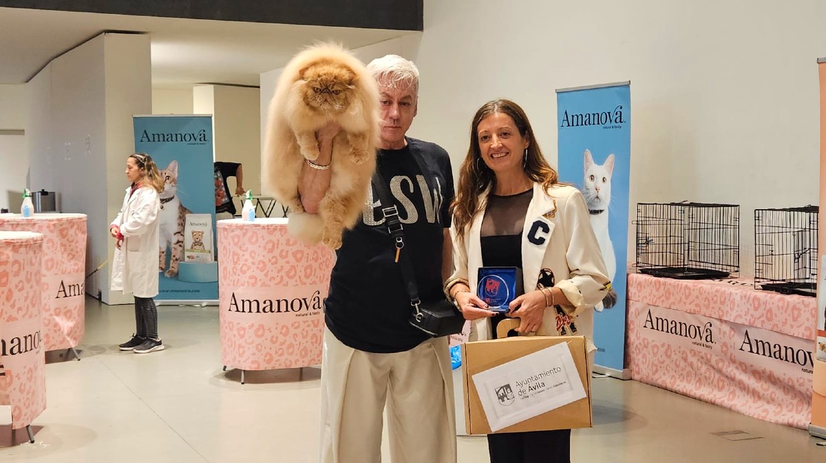 White'R'Us Izon Jr, y su propietario, Jos&eacute; D&iacute;az, vencedor absoluto de las Exposiciones Internacionales Felinas, recibe el premio de la concejal de Medio Ambiente.