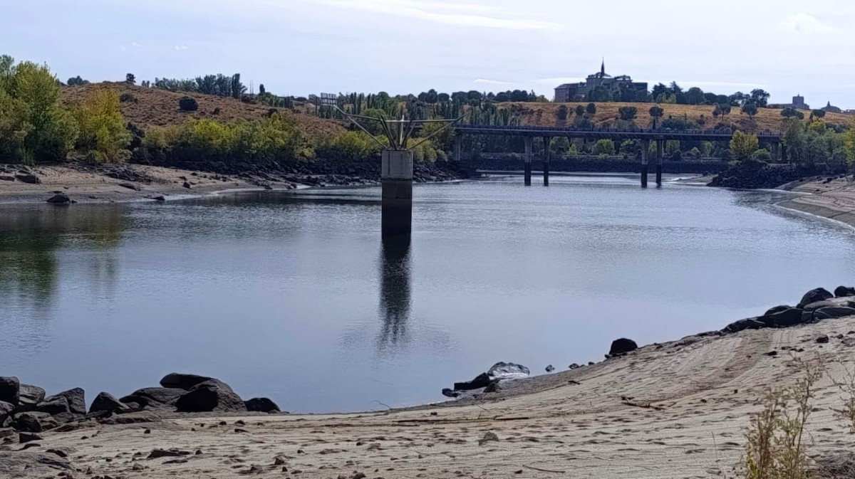 FOTOS | Pesca eléctrica para el traslado de los peces de Fuentes Claras, cuyo nivel baja
