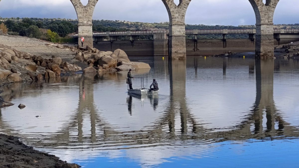 Retirada de peces en el embalse de Fuentes Claras, el mi&eacute;rcoles.