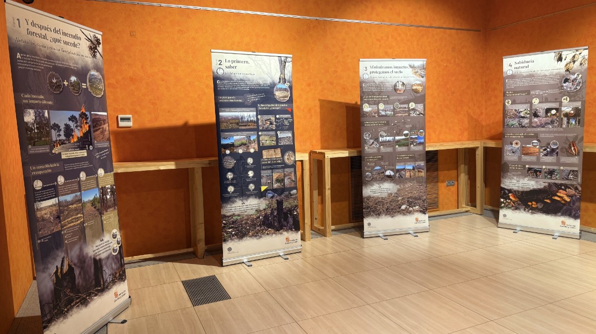 Exposici&oacute;n sobre la recuperaci&oacute;n de los montes afectados por incendios foresttales.