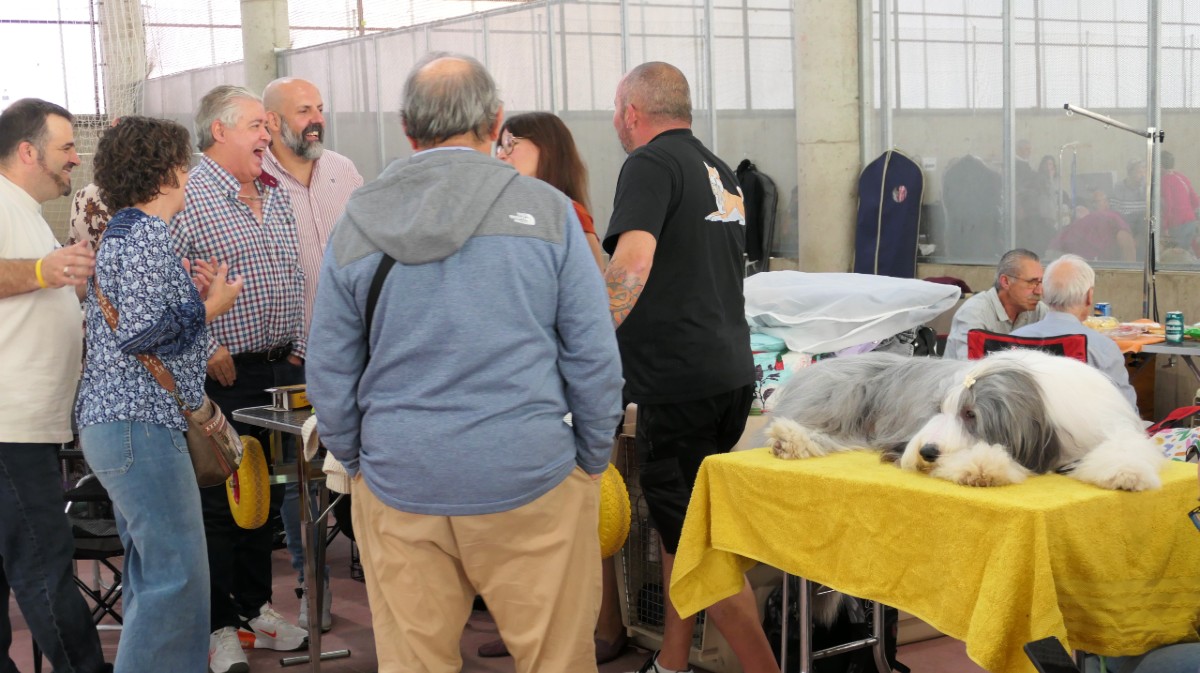 Concurso de la Exposici&oacute;n Canina Nacional Ciudad de &Aacute;vila.