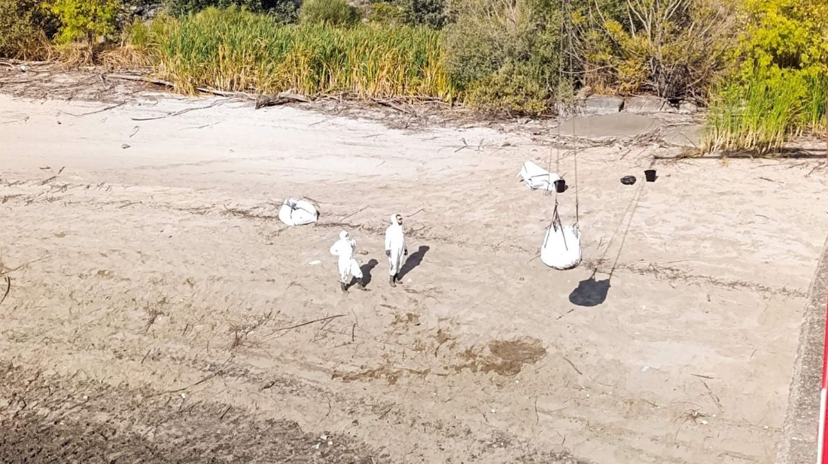 Operarios retirando los peces muertos o vivos