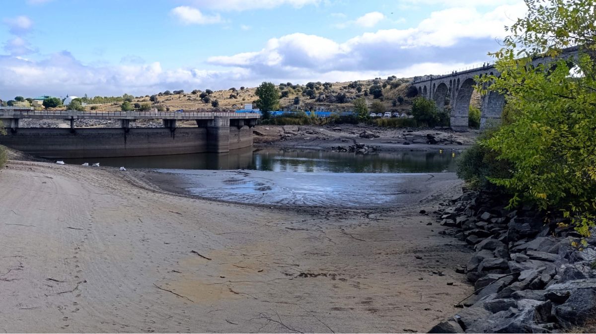 Operarios retirando los peces