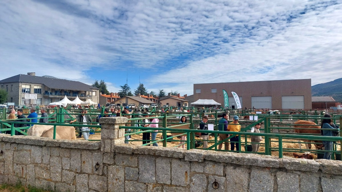 Feria de Ganado Selecto y Agroalimentaria de El Barco de &Aacute;vila.