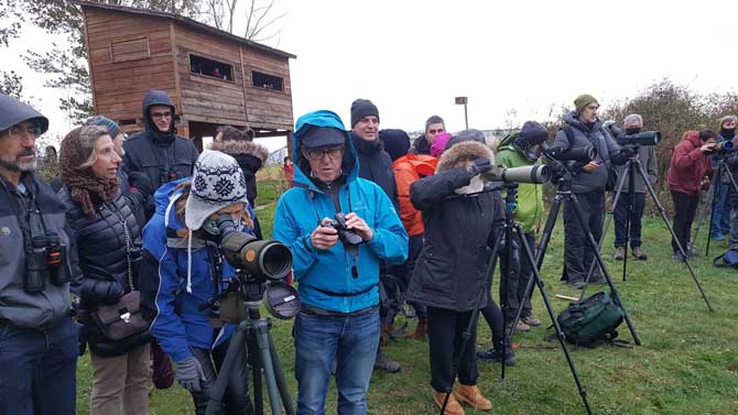 Avistamientos de grullas en las lagunas de El Soto.
