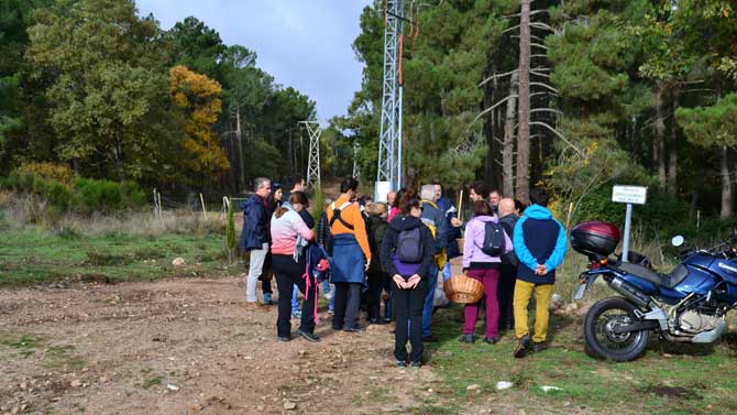Tuitquedada Micológica en Las Navas del Marqués.