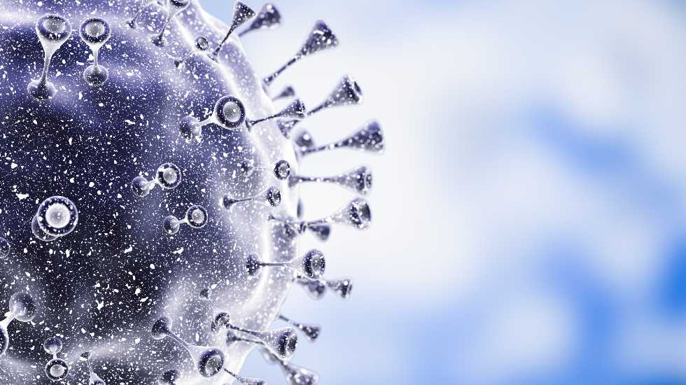 Recreación de la imagen del virus.