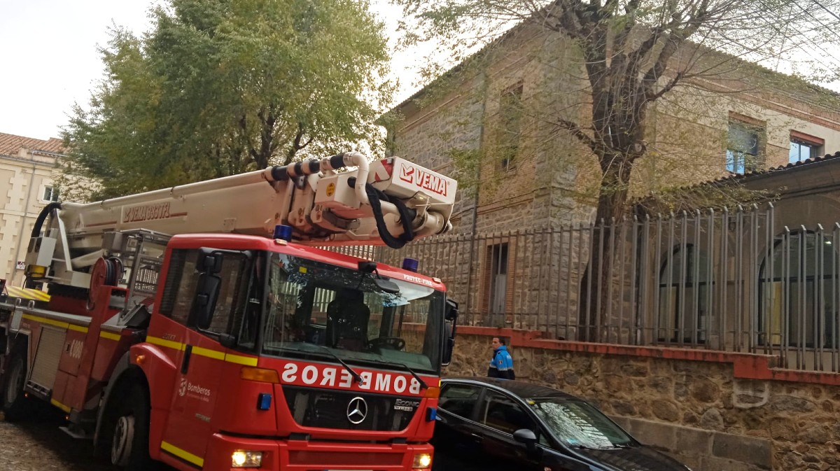Intervención de los bomberos en Colegio Santa Teresa para cortar un árbol dañado.