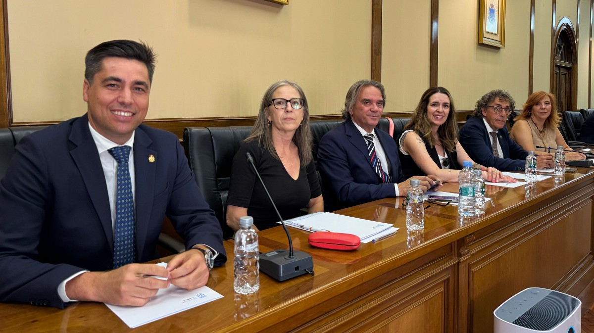 Imagen de archivo de los diputados provibciales deL PSOE en la Diputación de Ávila.