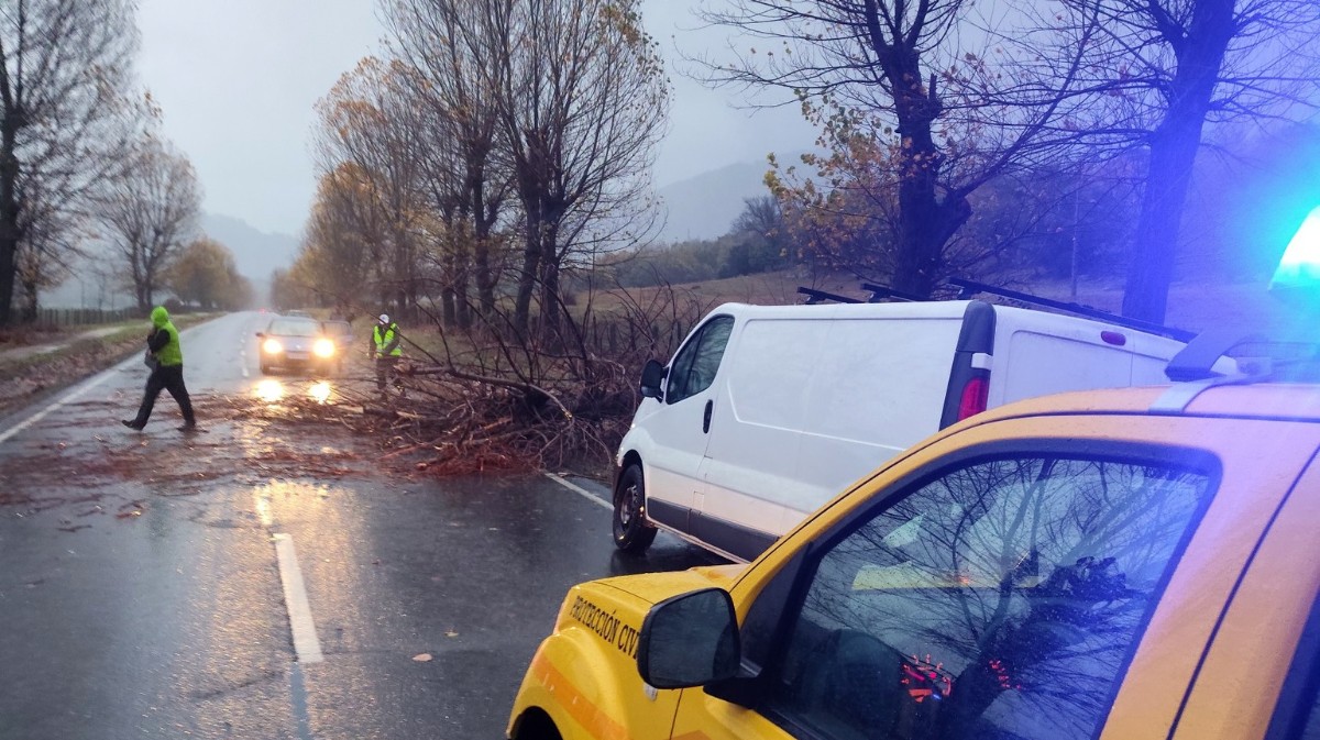 Caída de un árbol en una carretera, el jueves. Foto; Prorección Civil Navaluenga.