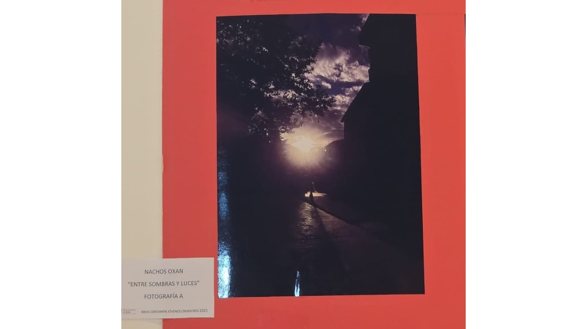 ‘Entre sombras y luces’ de Ignacio Sanz