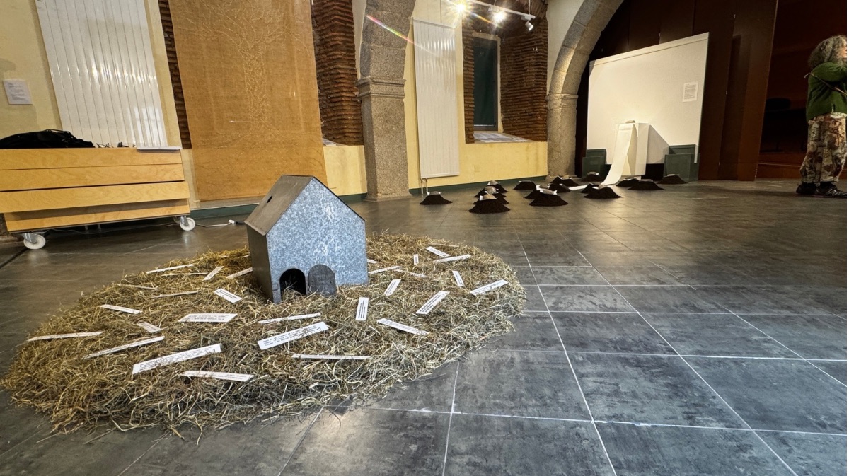 Exposici&oacute;n &lsquo;Habitar los afectos&rsquo;