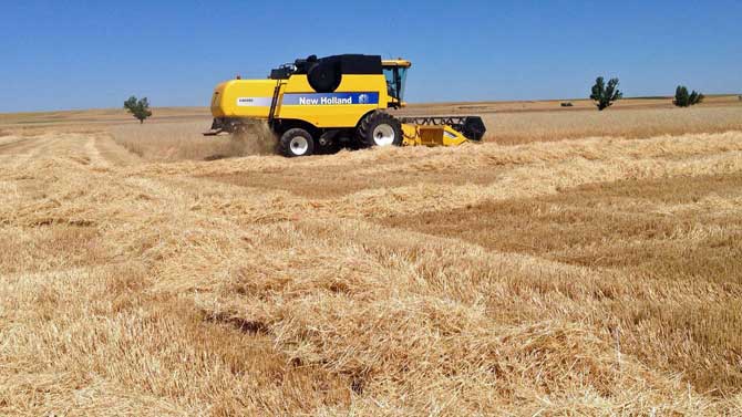 Imagen de archivo de la recogida de cosecha de cereales.