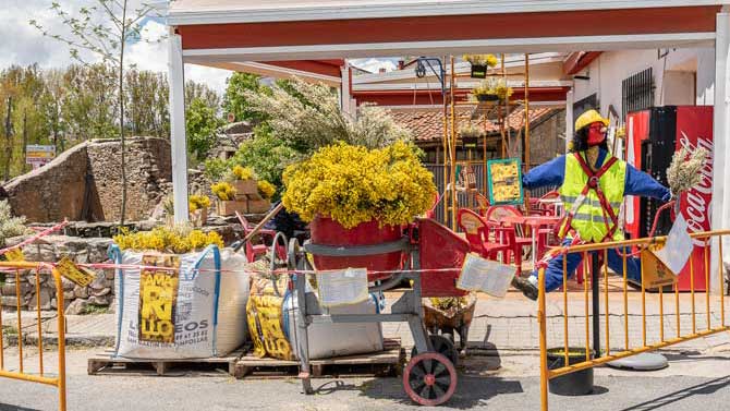 Decoración en la última edición del Festival del Piorno en Flor.