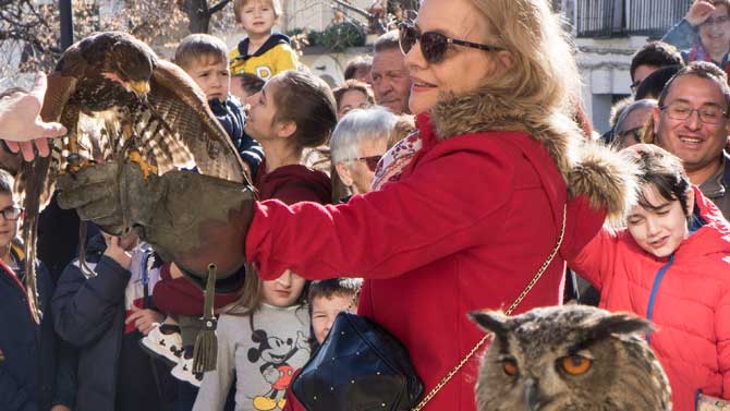 Exhibici&oacute;n de cetrer&iacute;a en Cebreros. Foto: MC.del Coso.