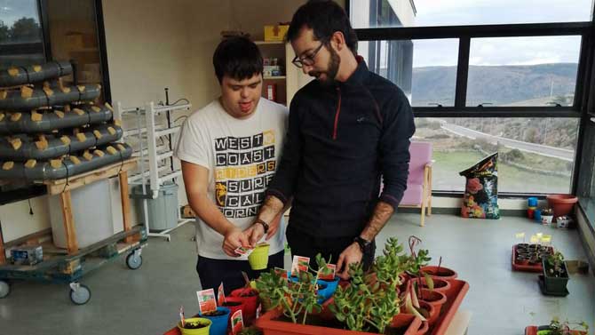 Proyecto de hidroponía en Pronisa.