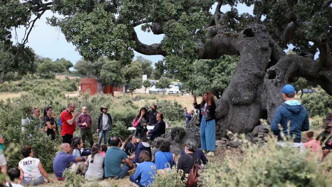 Actividad de difusi&oacute;n arqueol&oacute;gica en la Sierra de &Aacute;vila.