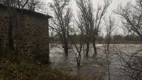 R&iacute;o Tormes a su paso por el El Braco en la tarde del jueves.