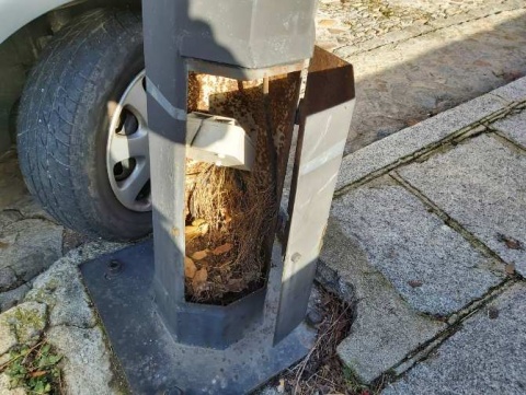 Foto enviada por Avilared