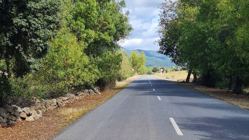 Carretera AV-915.