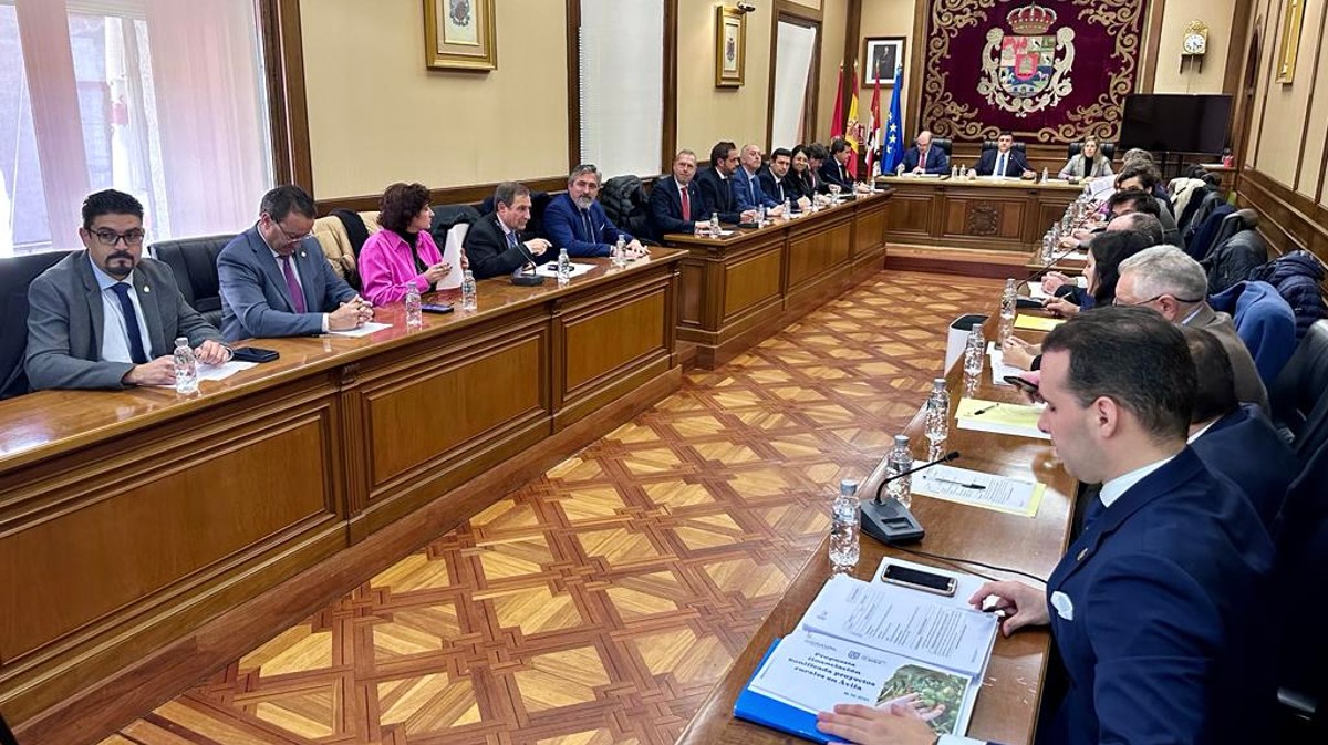 Pleno de presupuestos de la Diputación de Ávila, el pasado jueves.