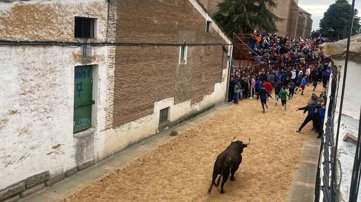 Toro de San Julián
