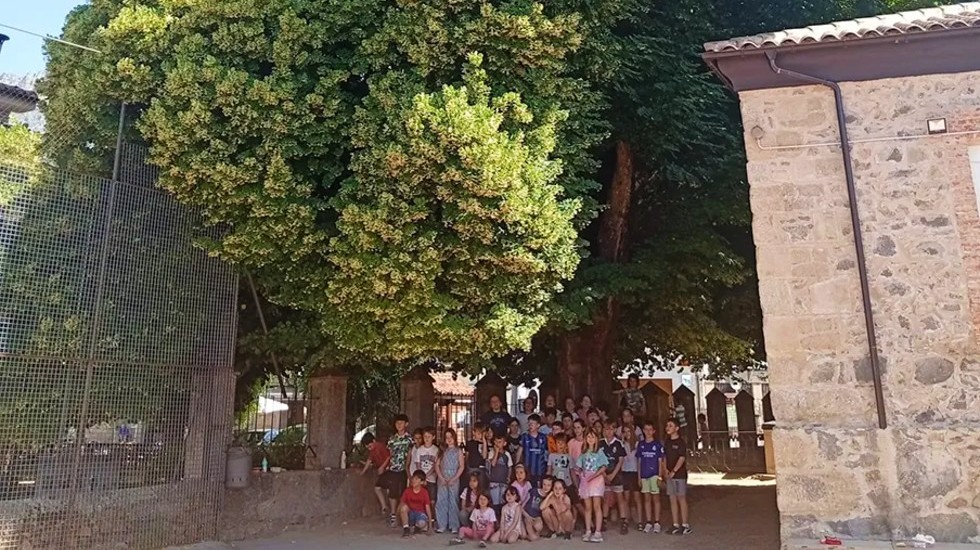 Tilos en el colegio de El Arenal.