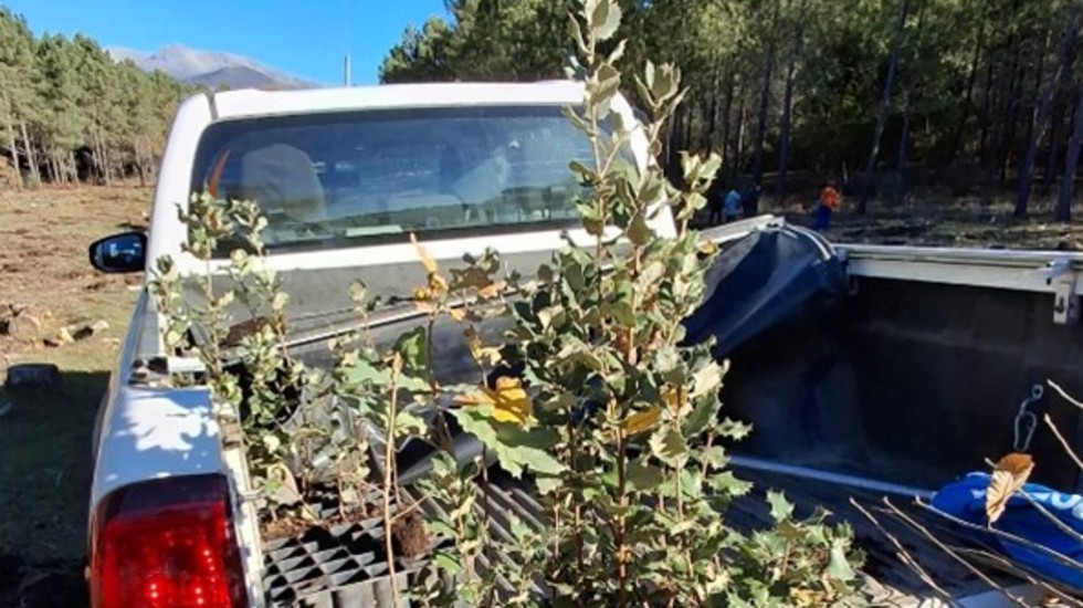 Reforestación educativa en Arenas: más de 200 árboles plantados por escolares
