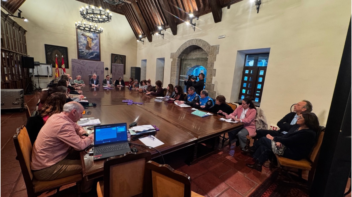 Comisión territorial contra la violencia de género