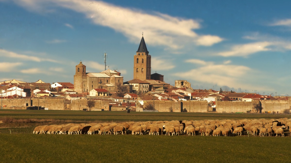 600.000 euros para la pavimentación en Madrigal de la calle Tostado