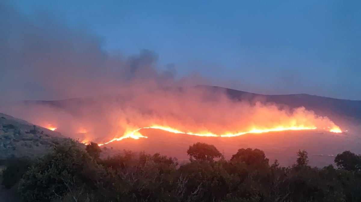 Incendio de El Herradón de Pinares este verano.