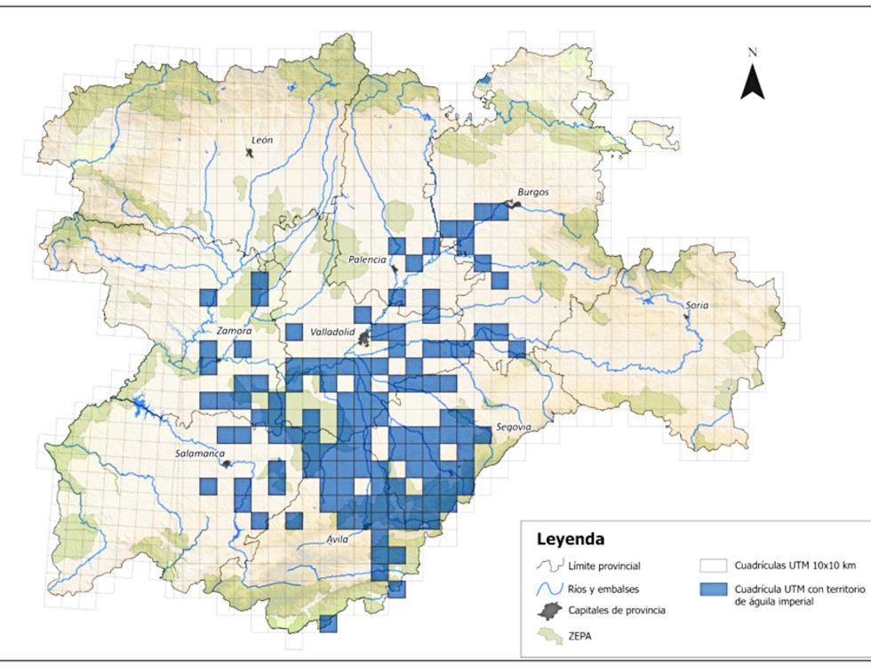 Censo del &aacute;guila imperial ib&eacute;rica en Castilla y Le&oacute;n.