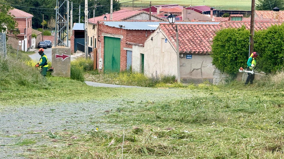 Operarios del Programa Montel en Las Berlanas en 2024.