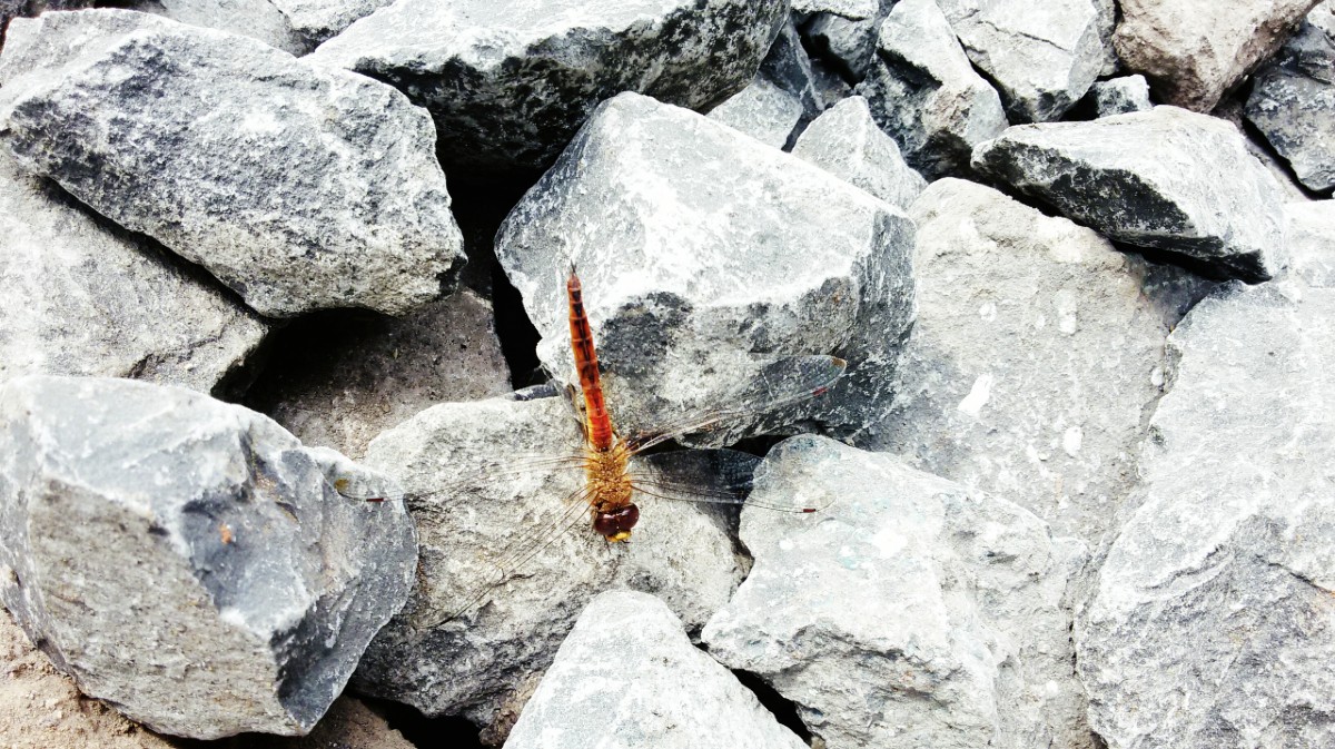 Imagen de archivo de una explotación de granito.