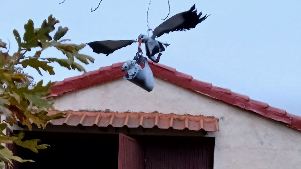 Bel&eacute;n en Navalmahillo