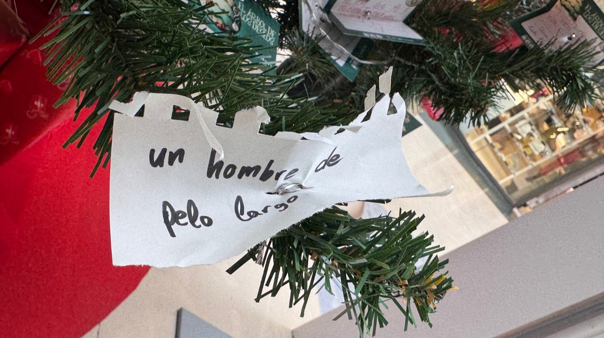 Anhelos en el &Aacute;rbol de los Deseos