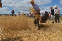 DIA DE LA ERA MUÑOGALINDO