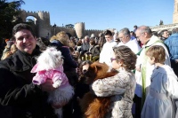 FIESTA DE SAN ANTÓN 2017 EN ÁVILA