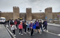 Gran Marcha de la Discapacidad 2018